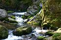 30_04_2009 001